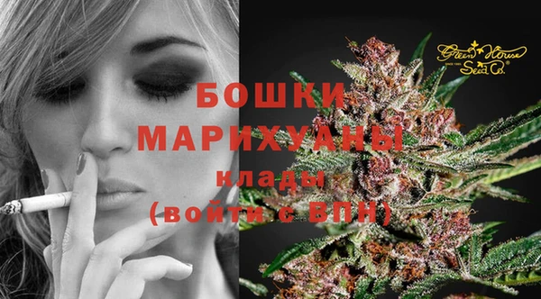 шишки Алзамай