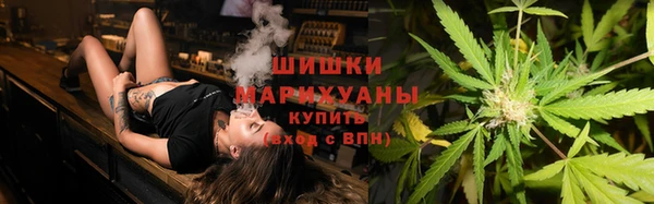 шишки Алзамай