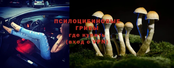 шишки Алзамай