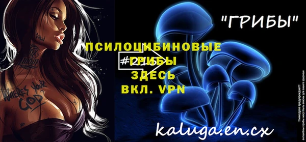 метамфетамин Алексин